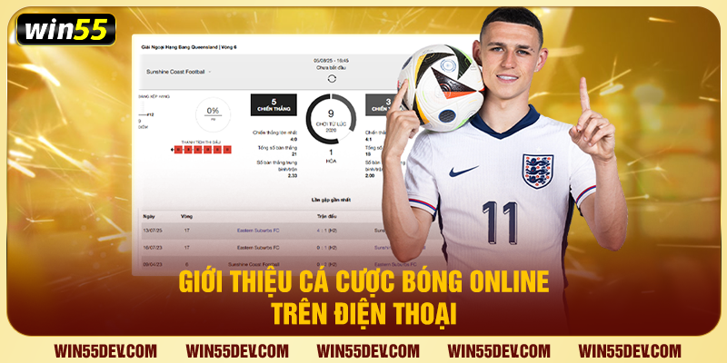 Giới thiệu cá cược bóng online trên điện thoại