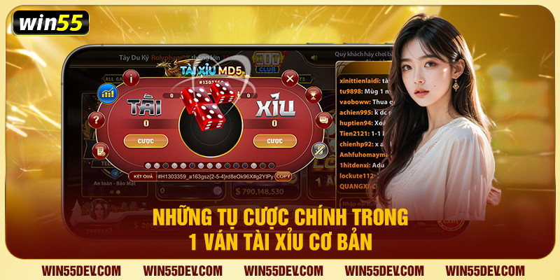 Những tụ cược chính trong 1 ván tài xỉu cơ bản